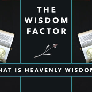 The Wisdom Factor_Part 3_Thumb