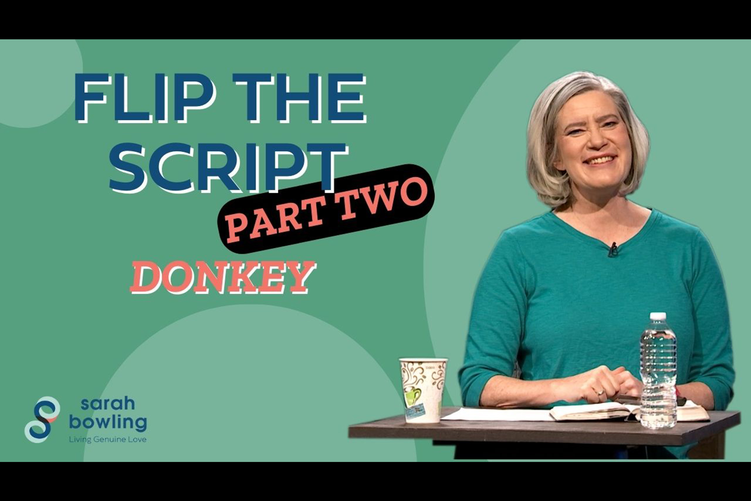 2 Flip the Script - Donkey_Thumb