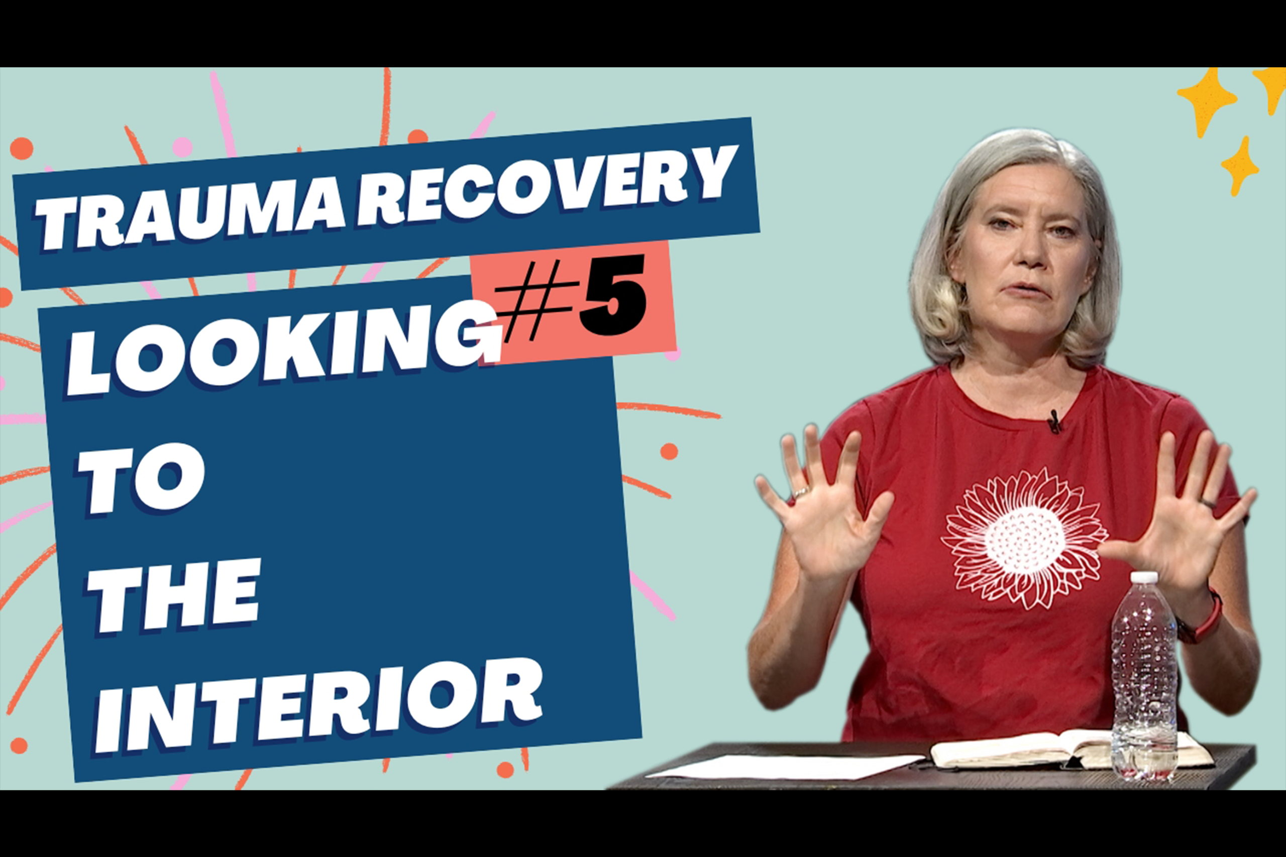 5-Trauma-Recovery-Looking-to-the-Interior_Thumb